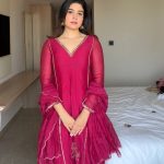 L Ranipink Handwork Top + Dupatta only