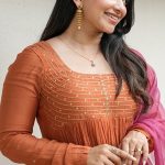 Orange Handwork Pleated Top + Organza Dupatta only